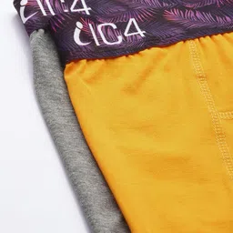 IC4 Men Pack of 2 Charcoal Grey & Yellow Solid Trunks 0C-Y-254P2 image 5