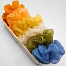 Dvabeautyshop Women Set of 6 Ponytail Holders scrunchies-16
