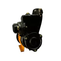 Rajdoot Self Priming Monoblock Pump 2 HP Single Phase, YP-47 image 3