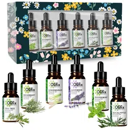 OLIFIX Pack of 6 Lavender Tea Tree Rosemary Lemongrass Peppermint Essential Oils-image-80