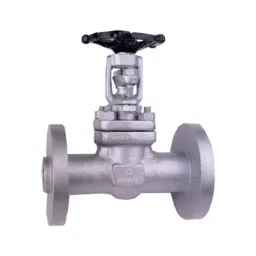 Leader FCS 041 Forged Cast Steel F Globe Valve 20 mm Class-300-image-92