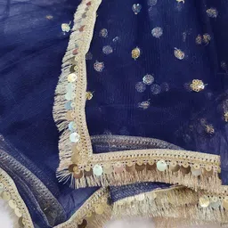 Navti Creations Embroidered Dupatta with Sequinned-picture-28