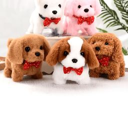Pandaworld Kids-Unisex Activity Toys and Games-image-22