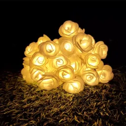 X4Decor 20 Led Rose Rice Light Warm White RR01-2