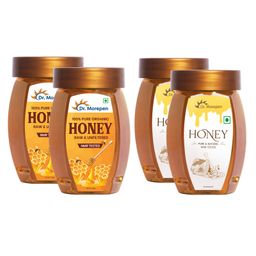 Dr. Morepen Honey 250g Pack Of 2 And Dr Morepen Honey Multi Flora 250g - Pet Jar Pack Of 2-40