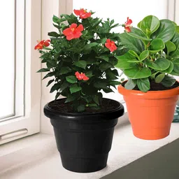 Kuber Industries 3-Pcs Red & Black 2 LayeredPlanters-1
