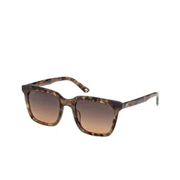 WEB EYEWEAR Unisex Wayfarer Sunglasses WE0309 53 56B-picture-48