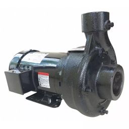 Dayton 50 ft Max Head 2 Hp Centrifugal Pump, 55JJ37-image-29
