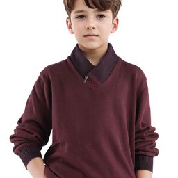 RARE ONES Boys V-Neck Long Sleeves Pullover-image-33