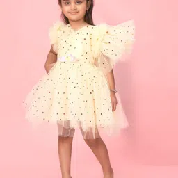 BAESD Floral Print Flutter Sleeve Net Fit & Flare Dress image 4