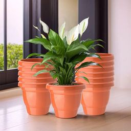 Kuber Industries Orange-Coloured Set Of 12 Plastic 2-Layer Planters-1