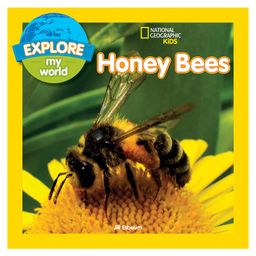 Explore My World: Honey Bees Picture Book By Jill Esbaum - English-3