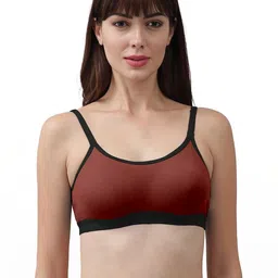 Samvar Multi Cotton Non-Wired Non Padded Minimizer Bra-picture-23