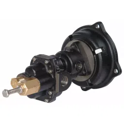 Dayton Rotary Gear Pump Head Cast Iron 12.7 mm (1/2 Inch) NPT 56C 125 psi, 4KHC7-81
