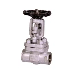 Leader FCS 008 Forged Cast Steel D Globe Valve 15 mm Class - 800-image-66