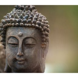 Inephos Brown And Green Buddha Religious Canvas Wall Art-image-32