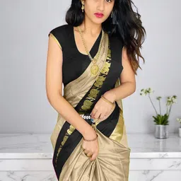 Dnyanada Embroidered Kanjeevaram Saree-image-12