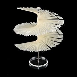COSLUXE False Nail Practic Tips Nail Color Display, Nail Art Color Chart Display Stand Spiral False Nails Display Shelf Practice Tools For Solon Nails Polish Gel Show (120 pcs, Natural) image 1