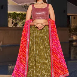 DIVASTRI Embellished Sequinned Semi-Stitched Lehenga & Unstitched Blouse With Dupatta-picture-14