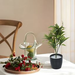 Home Bloom Green & Black Artificial Cracaena Plant With Pot-18