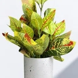 De Gardenia Decorative Small Tabletop Artificial Plant With Pot-picture-9
