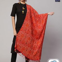 Nayo Pack of 2 Ethnic Motifs Printed Art Silk Dupatta-image-75