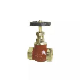 Sant 100 mm Gun Metal Globe Valve IS 11-60