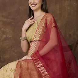 Dupatta Bazaar Organza Dupatta-picture-4
