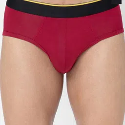bummer Men Pack of 2 Solid Micro Modal Briefs Underwear BRGENX02S-Gelada, Nox-picture-20