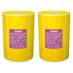 Tudko 50x50 mm 80 GSM 2 UP Self Adhesive Paper Label Yellow (Pack of 2 Pcs)-13