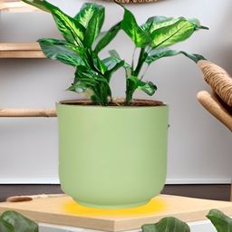 LASAKI Orin Green Big Ceramic Planters-image-64