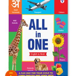 All in one English and Hindi Book | Early Learning Book - Bilingual Picture Book-4