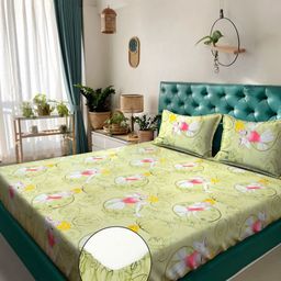 KLOTTHE Kids Green Pure Cotton 400 TC Fitted King Double Bedsheet Set 2.50m x 2.25m-10