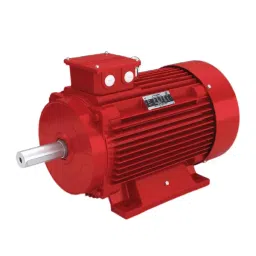 KOEL Three Phase 1 HP 4 Pole Horizontal Foot Mounted Induction Motor KM2.0T75.BGA.B03.TSS-image-50