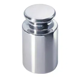 Wensar Standard Weight E2 Class 100 mg Mirror Polish 316 Stainless Steel image 5