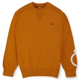 GINI & JONY Cotton Woven Full Sleeves Pullover Sweater With Logo Design - Brown-picture-13