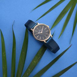 Daniel Klein Women Blue Analogue Watch DK11695-17