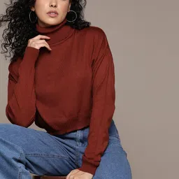 The Roadster Lifestyle Co. Turtle Neck Acrylic Pullover-15