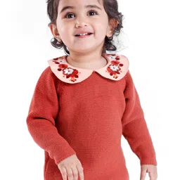 Babyoye Eco Conscious Cotton Full Sleeves Sweater With Floral Embroidery - Orange-picture-43