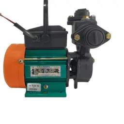 CRI ELSA Series 1 HP Single Phase Selfpriming Monoblock Pumpset, Elsa 100-picture-12