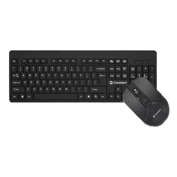 Consistent Voice Wireless Keyboard and Mouse with 2.4 GHz USB Receiver & Noiseless Experience, CMW401-picture-41