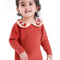 Babyoye Eco Conscious Cotton Full Sleeves Sweater With Floral Embroidery - Orange-picture-8