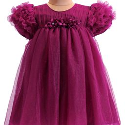 Babyhug  Woven Half Puffed Sleeves Mesh Shimmered Party Frock with Ruffle Detailing & Floral Applique - Wine-image-84