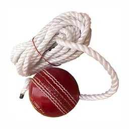 HackerX Leather Hanging CricketBall-33