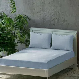 Trance Home Linen Blue Pure Cotton 300 TCFitted Queen Bedsheet Set 1.91 m x 1.83 m-image-57