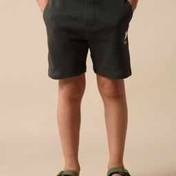 U.S. Polo Assn. Kids Boys Textured Cotton Regular Fit Shorts-picture-13