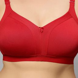 Bluenixie Plus size Full Coverage Bra With All Day Comfort image 4