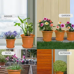 Milton Blossom Mate 5 Plastic Pot with Tray Set of 6 Terracotta Brown-10