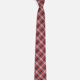 Van Heusen Men Checked Broad Tie image 2