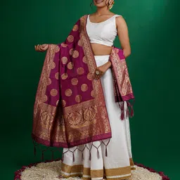 TEEJH Ethnic Motifs Woven Design Dupatta with Zari-52